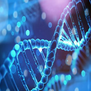 Estructura y funciones corporales